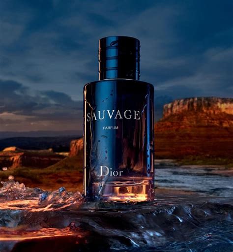 dior sauvage eau de parfum bijenkorf|sauvage eau de parfum.